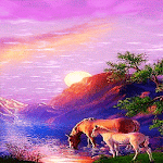 Thirsty Horses Live Wallpaper icon