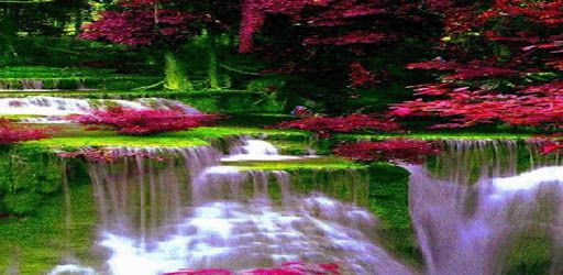 Waterfall Flowers LWP pc screenshot Waterfall Flowers LWP pc screenshot