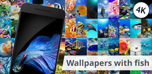 Wallpapers with fish pc screenshot Wallpapers with fish pc screenshot