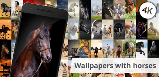 Wallpapers with horses pc screenshot
