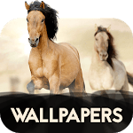 Wallpapers with horses icon