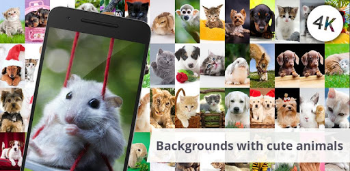 Backgrounds with cute animals pc screenshot Backgrounds with cute animals pc screenshot