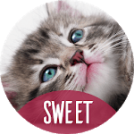 Backgrounds with cute animals icon