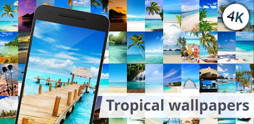 Tropical wallpapers pc screenshot Tropical wallpapers pc screenshot