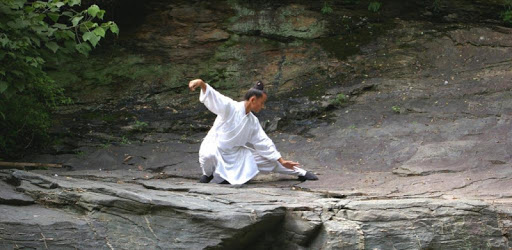 Learn Tai Chi pc screenshot