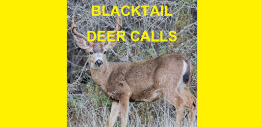 Blacktail Deer Calls Sounds pc screenshot Blacktail Deer Calls Sounds pc screenshot