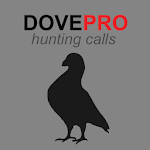 Dove Calls for Hunting icon