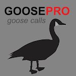 Goose Calls for Hunting icon