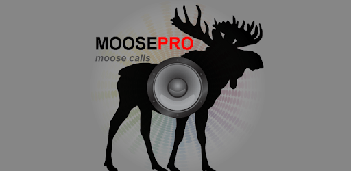 Moose Calls for Hunting Moose pc screenshot Moose Calls for Hunting Moose pc screenshot