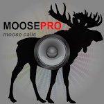 Moose Calls for Hunting Moose icon