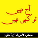 Aaj Nahi to Kabhi Nahi (Motivational Book) in Urdu icon