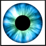 Free Eye Test icon