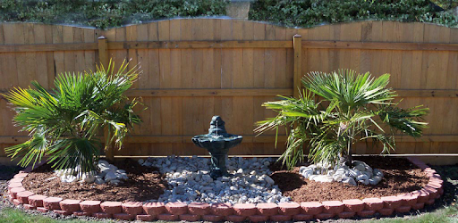 Water Fountain Ideas pc screenshot