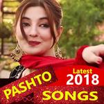 Pashto Video - Pashto Song, Dance, Comedy, DJ icon