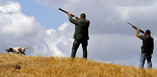 Hunting - birdcall birdsong pc screenshot Hunting - birdcall birdsong pc screenshot
