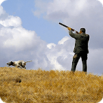 Hunting - birdcall birdsong icon