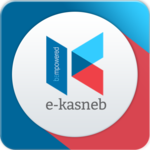 e-Kasneb icon