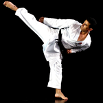 PocketPT - Shotokan Karate for pc icon