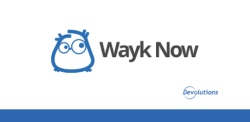 Wayk Now pc screenshot
