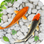 Fish Live Wallpaper 2018: Aquarium Koi Backgrounds icon