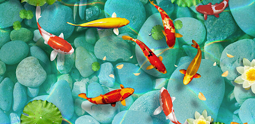 Real Fish Live Wallpaper pc screenshot Real Fish Live Wallpaper pc screenshot