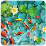 Real Fish Live Wallpaper icon
