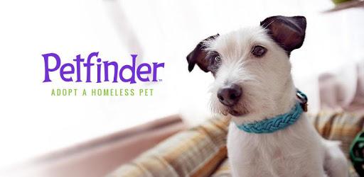 Petfinder pc screenshot