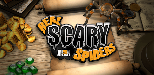 Real Scary Spiders pc screenshot Real Scary Spiders pc screenshot