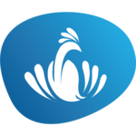 India24 icon