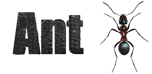 Ant pc screenshot Ant pc screenshot