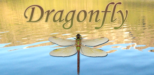 Dragonfly pc screenshot Dragonfly pc screenshot
