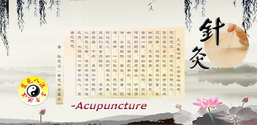 Chrono-Acupuncture pc screenshot Chrono-Acupuncture pc screenshot