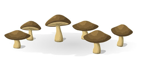 Mushrooms pc screenshot