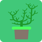 Plant physiology for pc icon