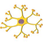 Neurophysiology for pc icon