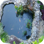 Live Lovely Koi Wallpaper icon