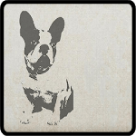 Know and choose dog breed icon