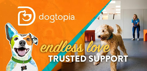 Dogtopia pc screenshot