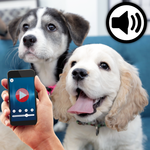 Human to dog translator++ icon