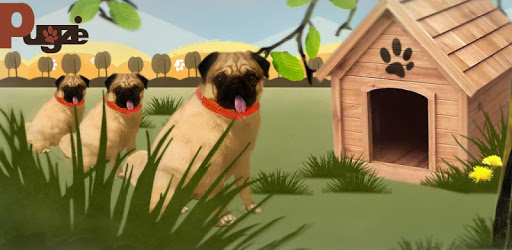 Pugzie Cute Pug Live Wallpaper pc screenshot Pugzie Cute Pug Live Wallpaper pc screenshot
