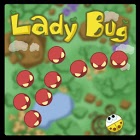 Ladybug icon