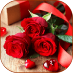 Flowers Pictures icon