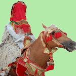 bniouarayne rhythms icon