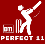 Dream Perfect11 Pro icon