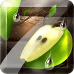 Fruit Slice icon
