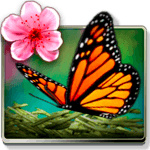 Season Zen Free icon