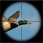 Duck Hunting Unlimited 3D icon