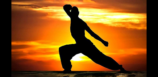 Martial Arts - Training and workouts pc screenshot Martial Arts - Training and workouts pc screenshot