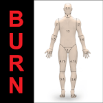 Burn Table for pc icon Burn Table for pc icon