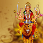 Durga Chalisa, Durga Aarti, Durga Kavach - Skynet icon